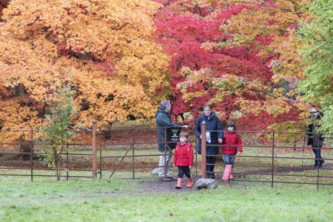 National Trust Cymru Reveals Its Top Places To Soak Up The Best Of The