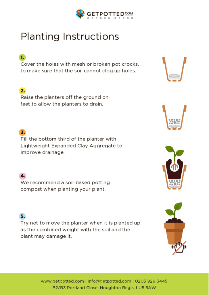 How to plant flowers to outdoor pots?