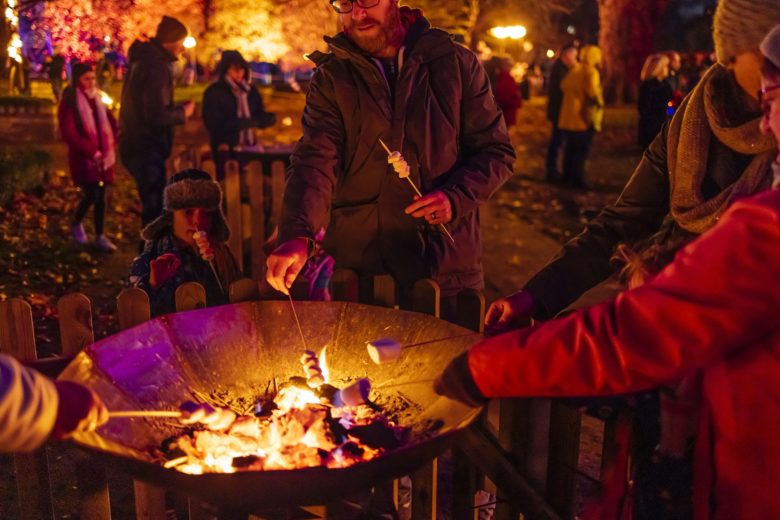 Cardiff Bute Park Festive Lights Trail Is Back For 2022