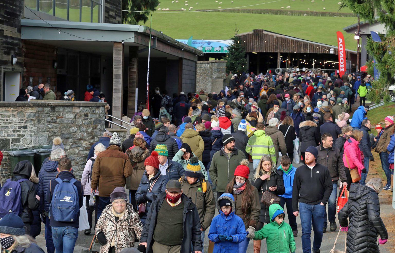 Kick off the festive season with a visit to the Royal Welsh Winter Fair