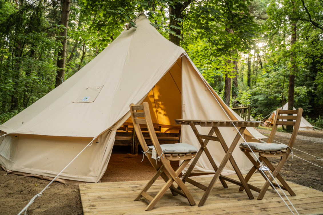 New woodland wellness campsite coming to Candleston Woods