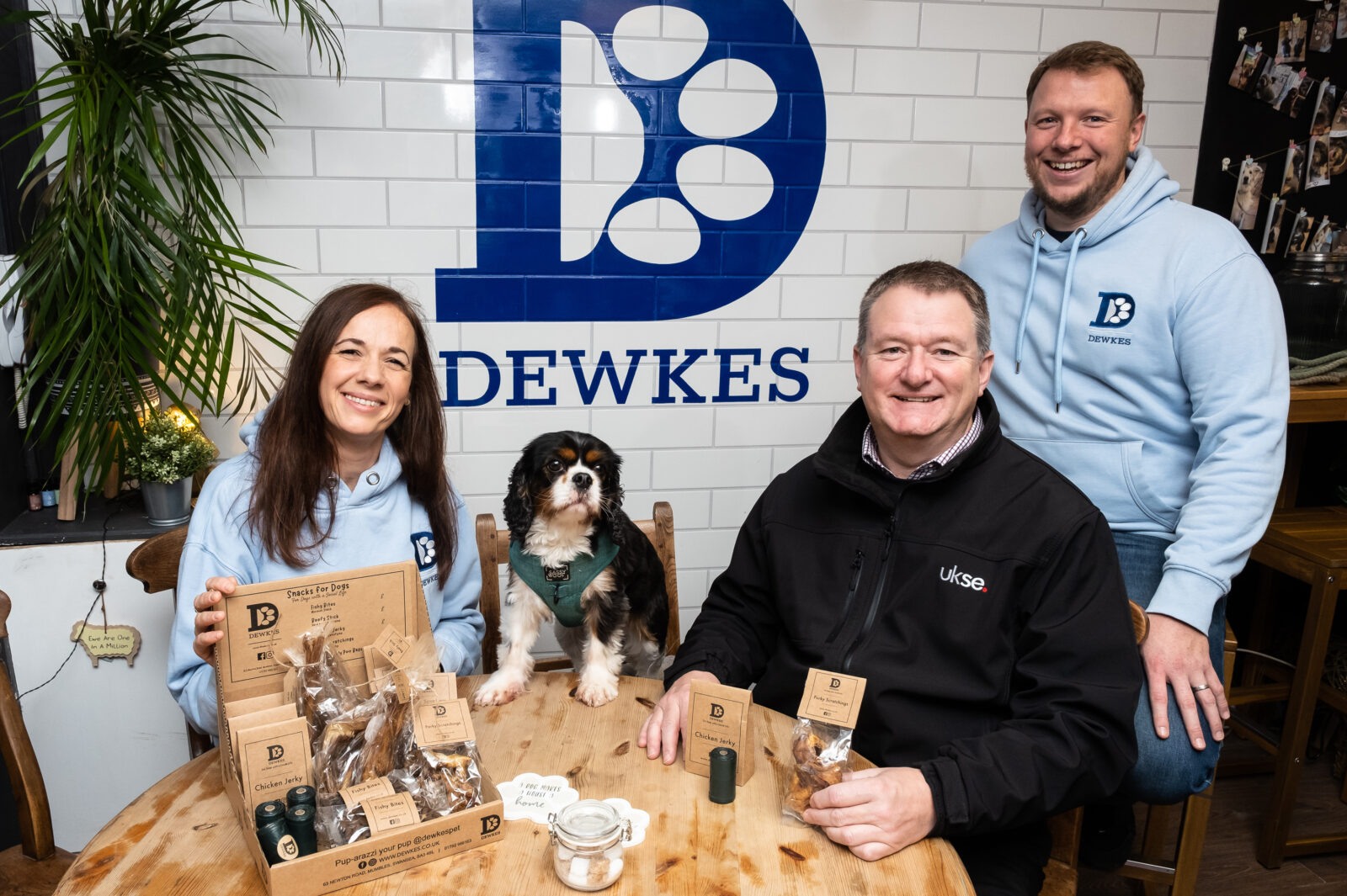 Swansea firm aims to be top dog in pet food